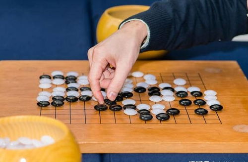 棋种无优劣 万众共雅俗