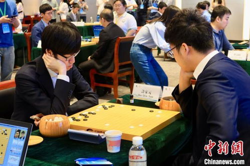 执子黑白 对话 世界 浙江借侨力支持围棋产业发展