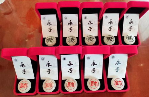 中国保山 永子杯 象棋名人战开战 两位大师握手言和